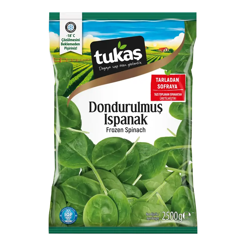 DONDURULMUŞ ISPANAK